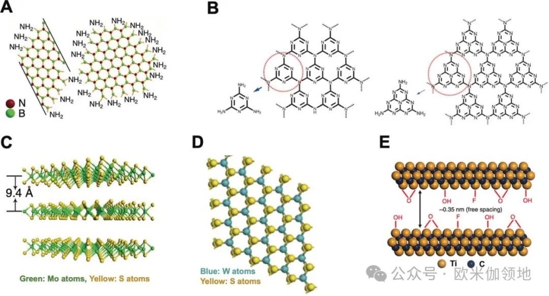 书评|Angewandte Chemie|用于水、气体和离子分离的2D纳米片及复合膜