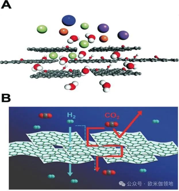 书评|Angewandte Chemie|用于水、气体和离子分离的2D纳米片及复合膜