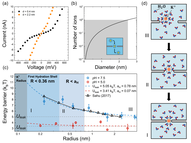 南开团队在纳米流体离子输运领域取得重要进展