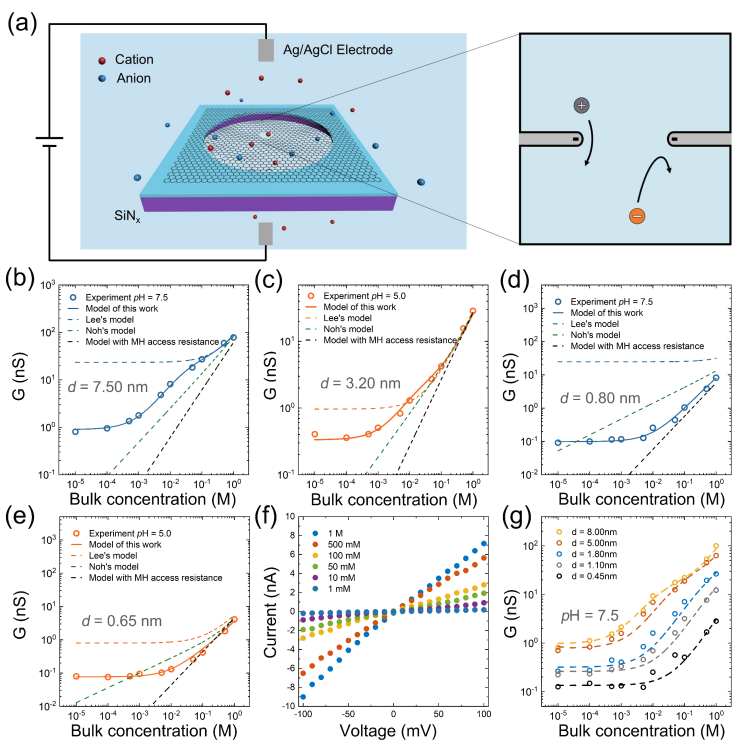 南开团队在纳米流体离子输运领域取得重要进展