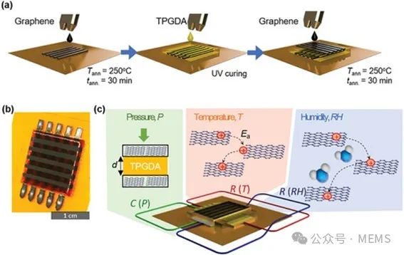 喷墨打印多功能石墨烯传感器，用于柔性可穿戴电子设备
