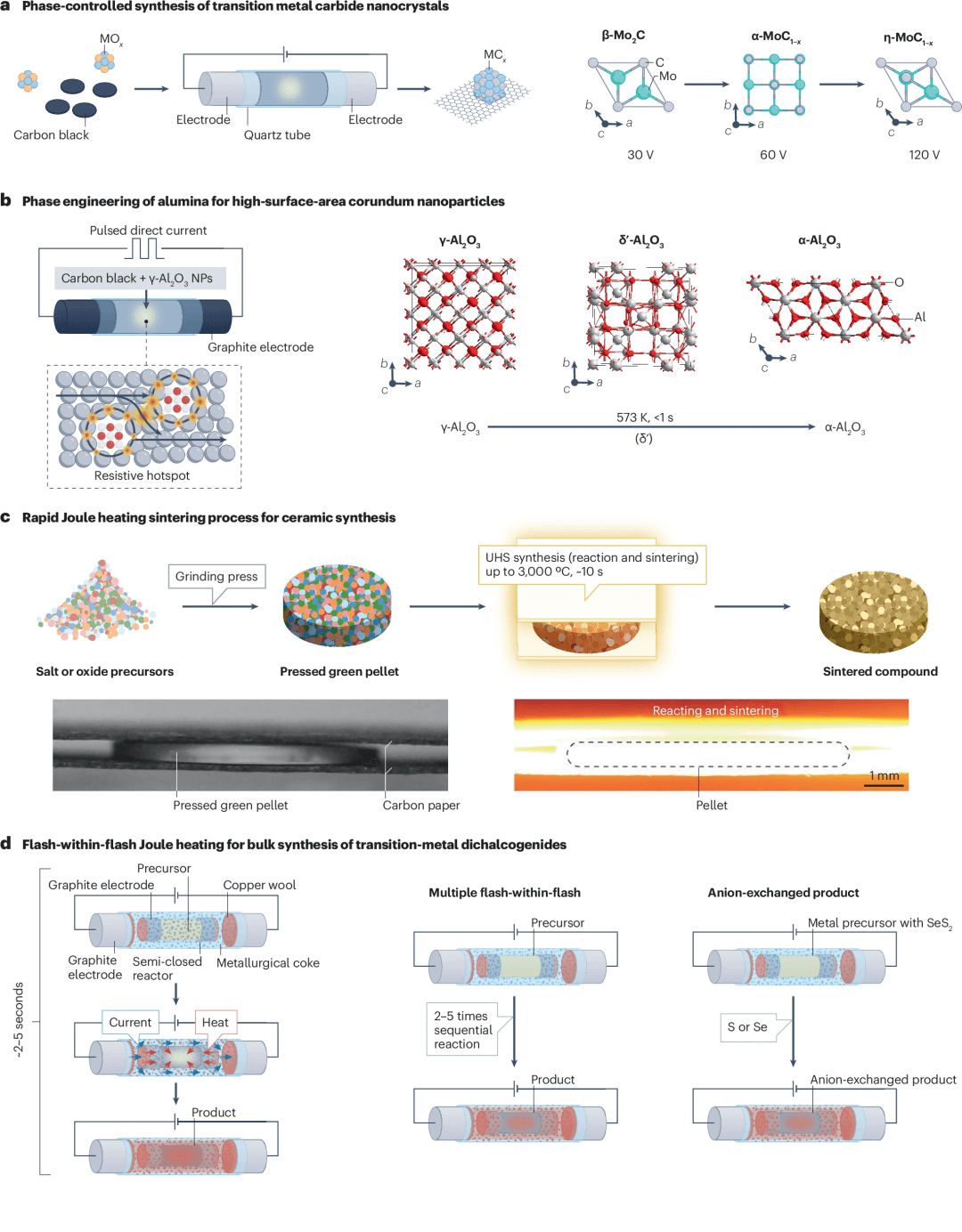 清华&莱斯Nature综述：焦耳热在石墨烯、陶瓷、金属回收、废塑料、纳米材料等方面的进展