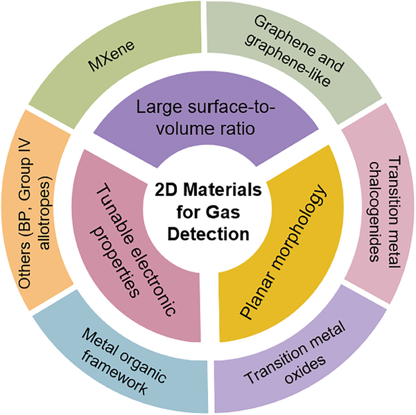 IF 18.5！提升基于二维材料的气体传感器的选择性
