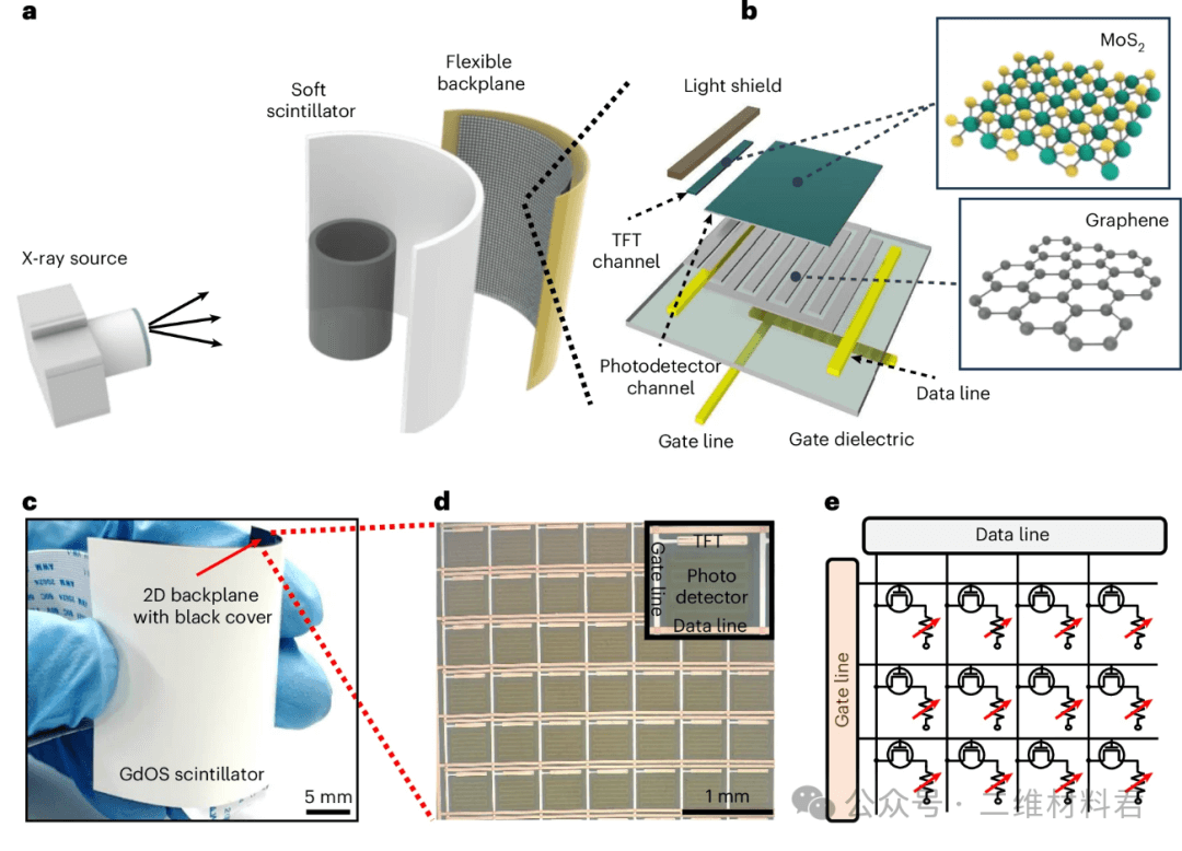 2025, Nature Electronics——石墨烯与MoS₂联手，打造下一代柔性X光探测器