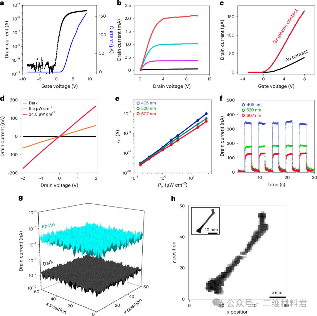 2025, Nature Electronics——石墨烯与MoS₂联手，打造下一代柔性X光探测器
