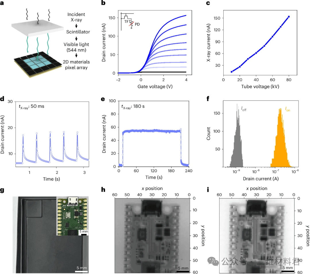 2025, Nature Electronics——石墨烯与MoS₂联手，打造下一代柔性X光探测器