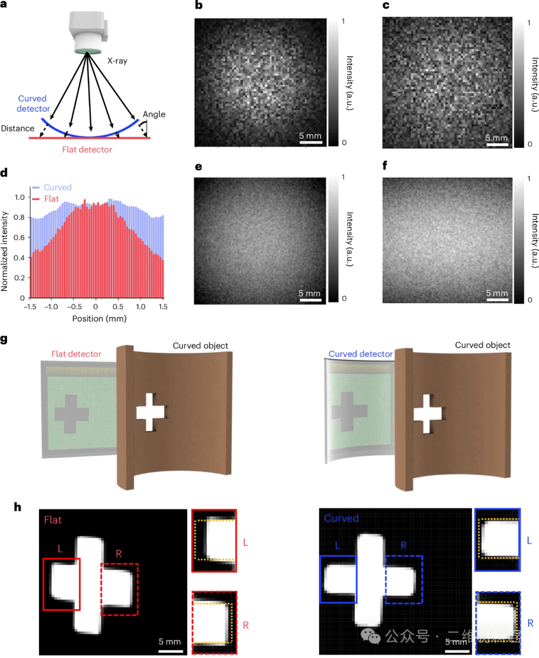2025, Nature Electronics——石墨烯与MoS₂联手，打造下一代柔性X光探测器