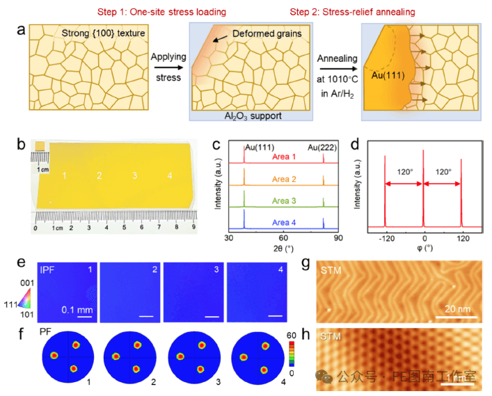 北京大学/北京理工大学ACS Nano：低成本制备大面积Au(111)单晶用于二维层状材料的外延生长！！