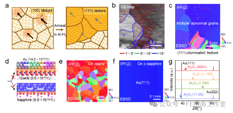 北京大学/北京理工大学ACS Nano：低成本制备大面积Au(111)单晶用于二维层状材料的外延生长！！
