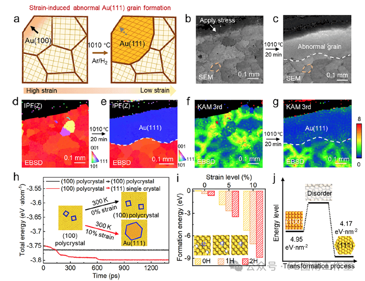 北京大学/北京理工大学ACS Nano：低成本制备大面积Au(111)单晶用于二维层状材料的外延生长！！