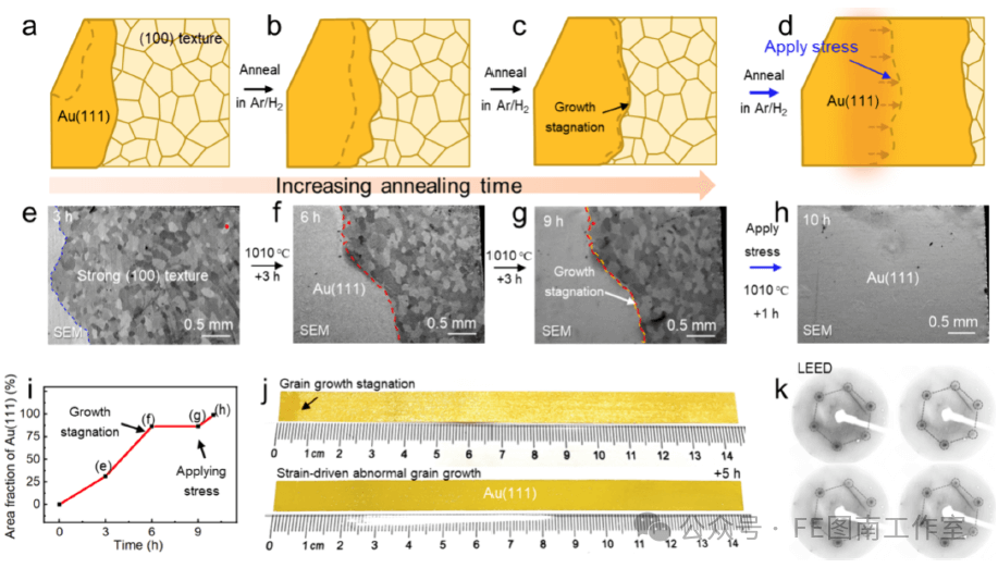 北京大学/北京理工大学ACS Nano：低成本制备大面积Au(111)单晶用于二维层状材料的外延生长！！