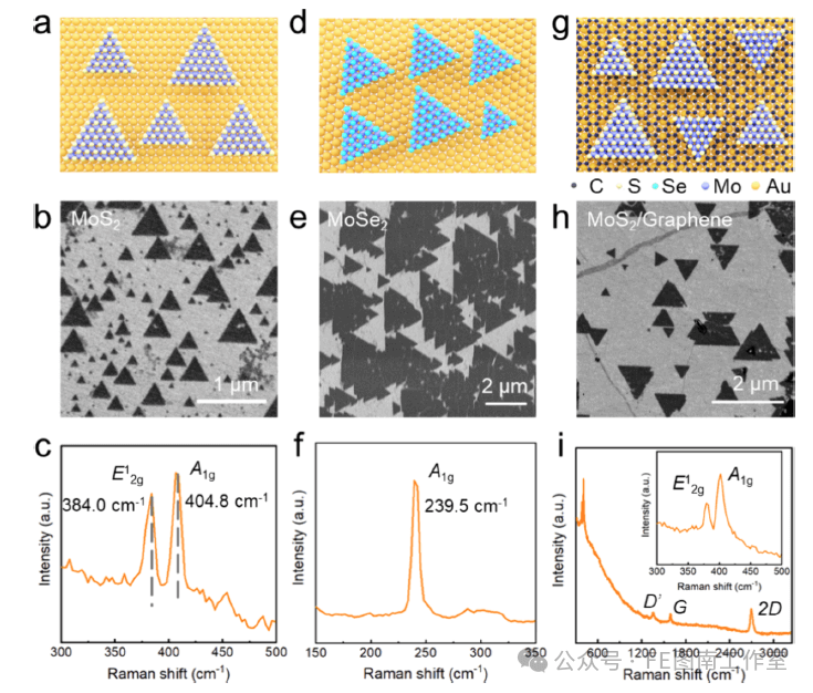 北京大学/北京理工大学ACS Nano：低成本制备大面积Au(111)单晶用于二维层状材料的外延生长！！