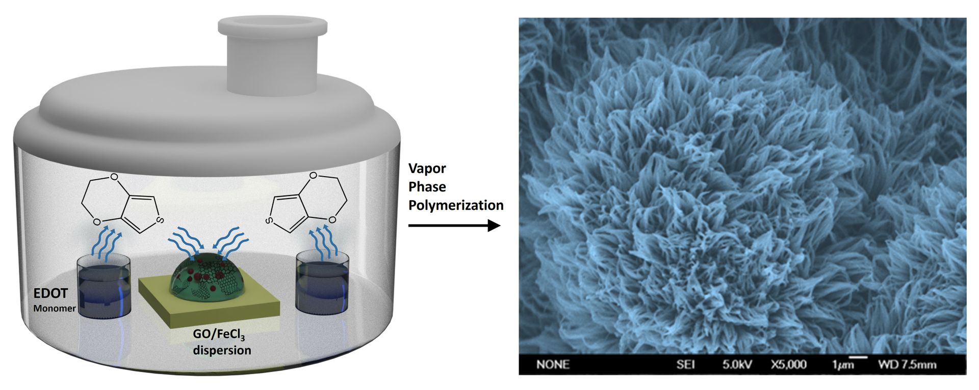 An example of how an EDOT monomer reacts with vapor to form a PEDOT nanofiber