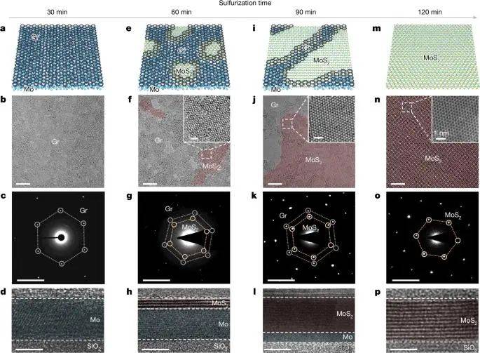 二维材料生长新方法 登上Nature!!!