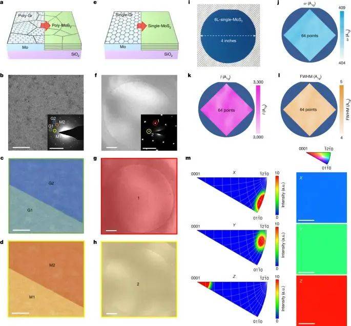 二维材料生长新方法 登上Nature!!!
