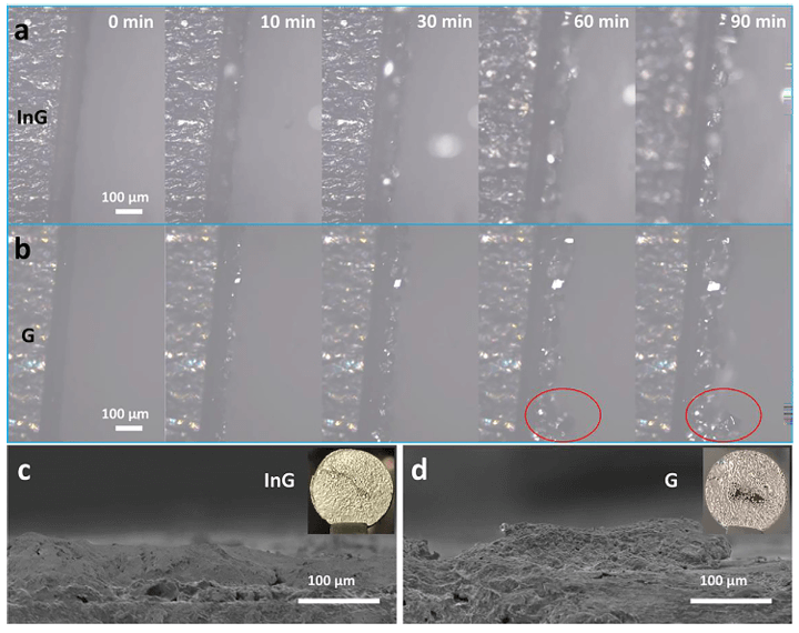 大连化物所吴忠帅JEC！钠金属电池寿命大跃升！铟原子修饰石墨烯，抑制枝晶，超稳定循环！