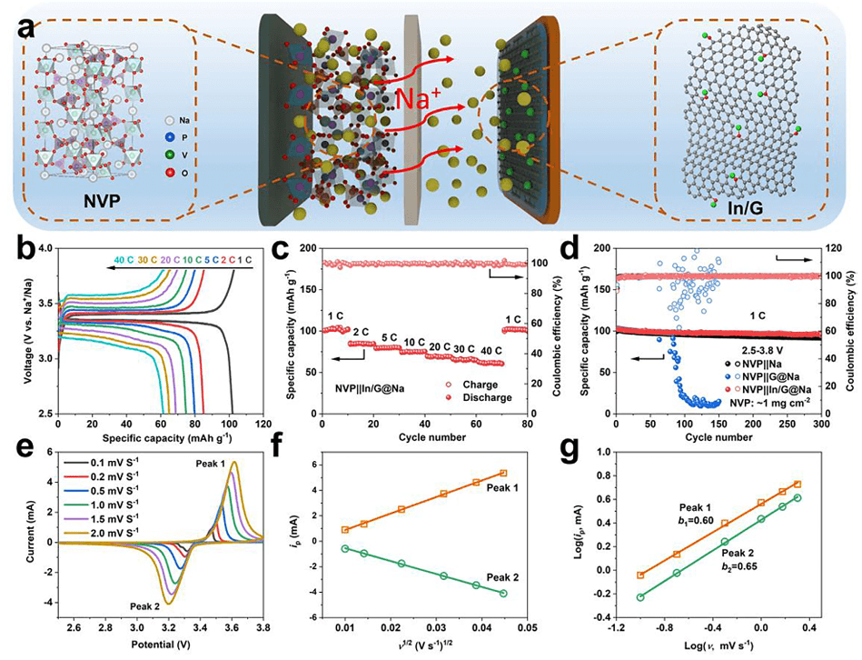 大连化物所吴忠帅JEC！钠金属电池寿命大跃升！铟原子修饰石墨烯，抑制枝晶，超稳定循环！