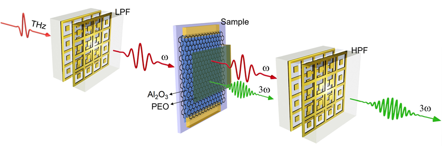 Light | 基于石墨烯结构的THz非线性增强