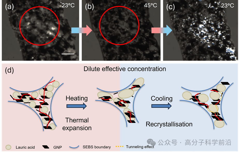 英国拉夫堡大学刘艺团队《AFM》发表突破性研究：从绿色材料到柔性超灵敏智能温控——月桂酸多功能传感器的创新之路