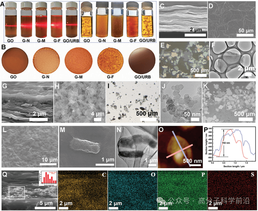 兰州大学陈熙萌、李湛AM：跨越科技与自然的鸿沟——二维仿生膜为海水铀提取带来曙光