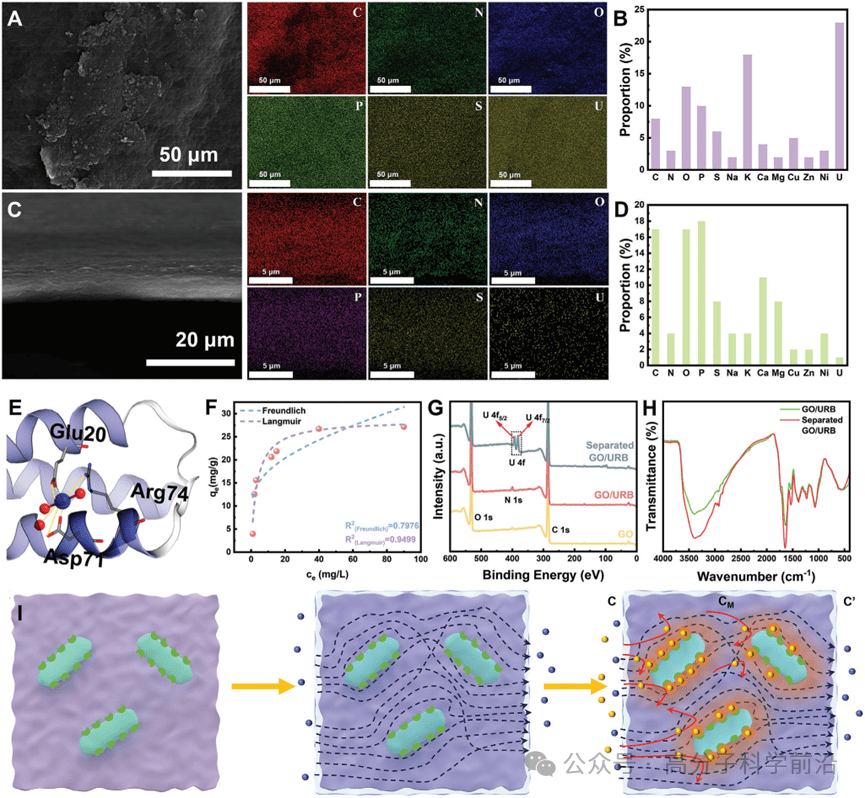 兰州大学陈熙萌、李湛AM：跨越科技与自然的鸿沟——二维仿生膜为海水铀提取带来曙光