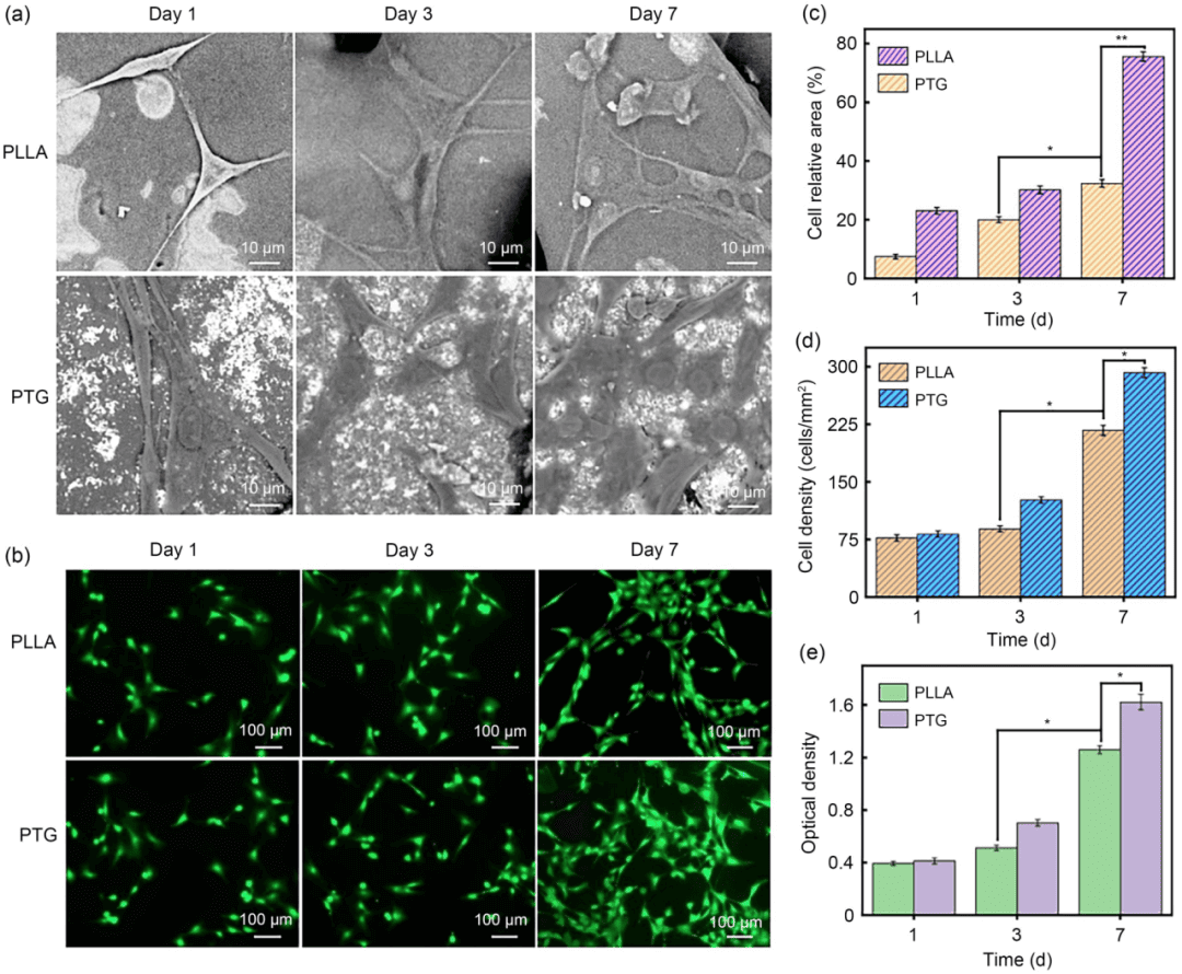 中南大学帅词俊团队 | 还原氧化石墨烯促进二氧化钛光电子–空穴对分离以强化骨支架的光催化抗菌活性