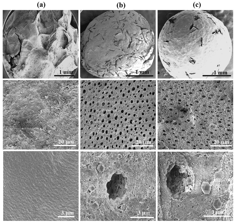 论文精选20240201|西北农林科技大学研究y论文：ZIF-67生长在壳聚糖-氧化石墨烯水凝胶珠中，以有效吸附四环素和诺氟沙星