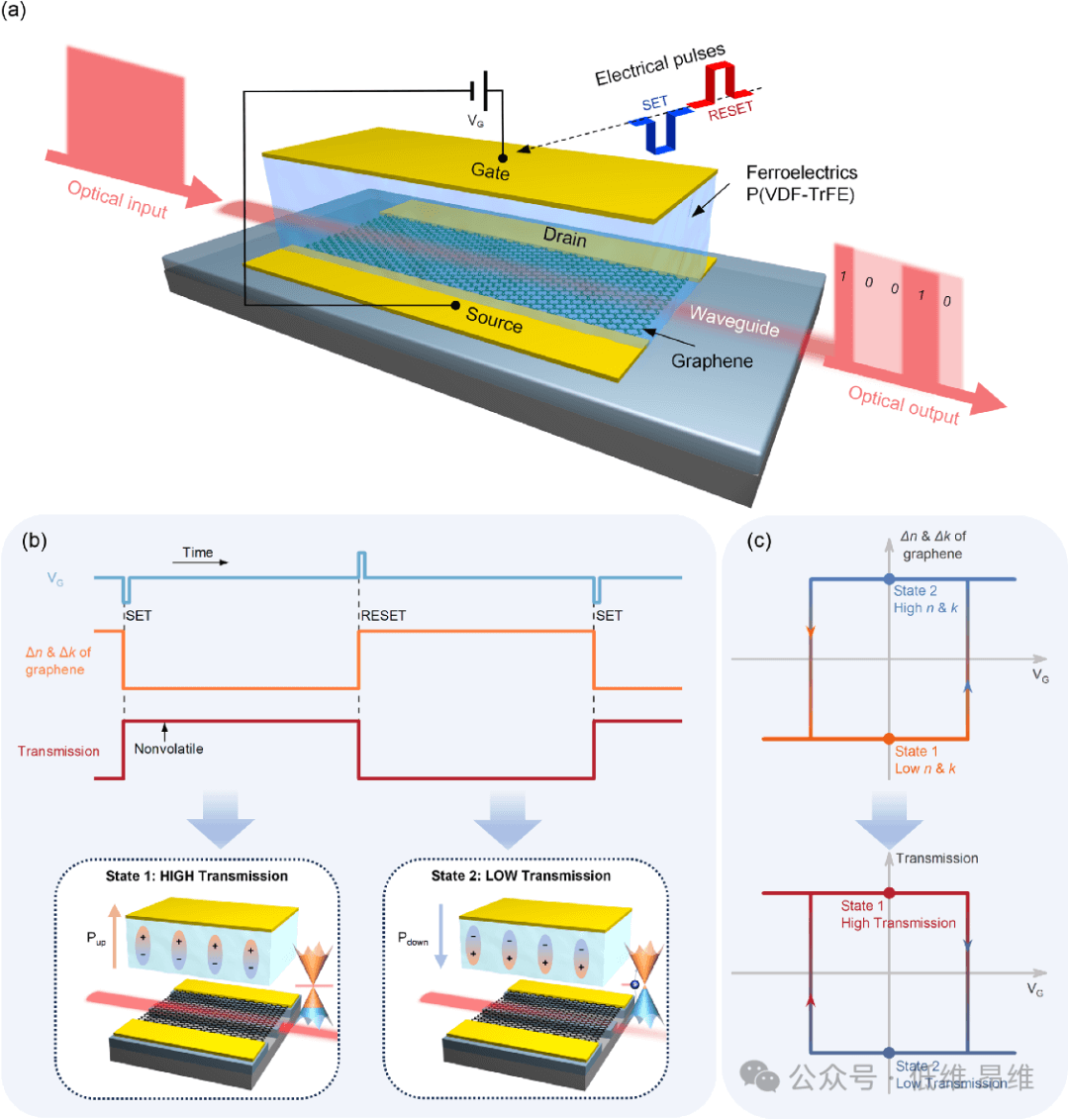 西安电子科技大学，西北工业大学Optica: 基于铁电掺杂石墨烯的片上光学忆阻器
