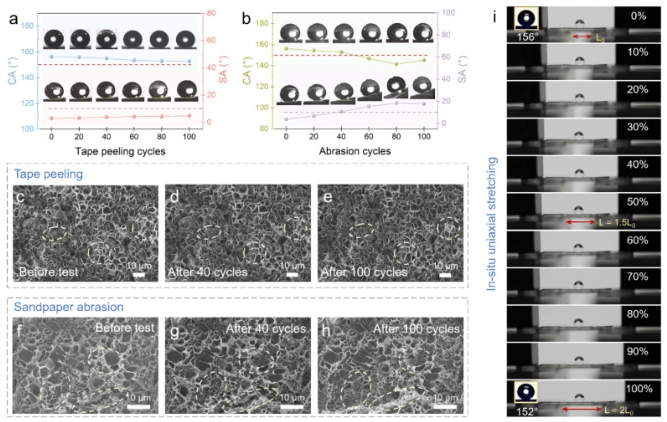 暨南大学《CEJ》：可拉伸超疏水激光诱导石墨烯加热器，实现强大的被动防冰和快速主动除冰