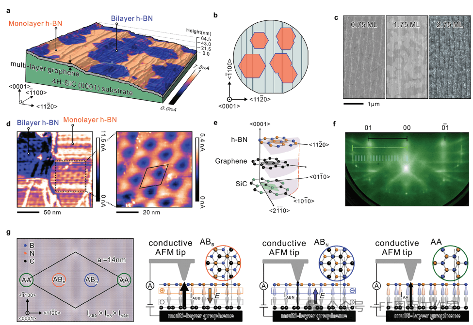 台湾成功大学Adv. Mater.: 石墨烯上外延生长的铁电六方氮化硼！！