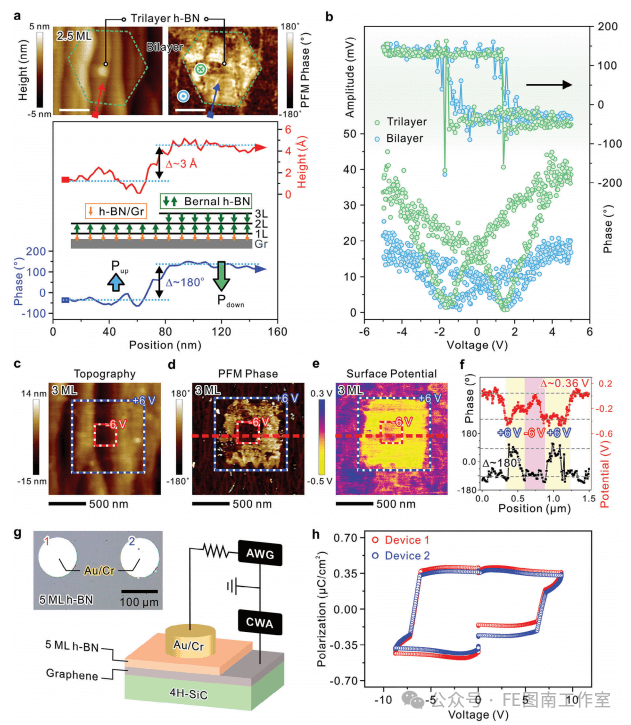台湾成功大学Adv. Mater.: 石墨烯上外延生长的铁电六方氮化硼！！