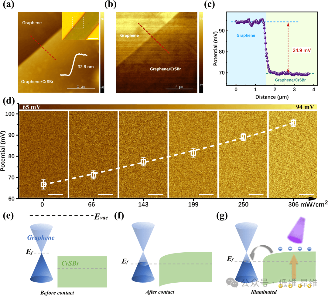 深圳大学ACS Nano：在邻近耦合CrSBr/石墨烯异质结中通过反常霍尔效应和磁-光响应揭示光磁耦合