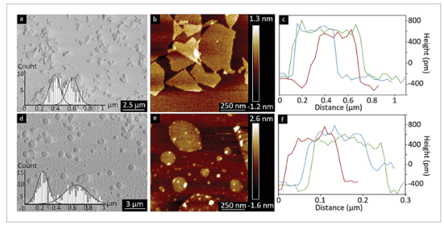 瑞典皇家理工学院《Small》：通过商业碳纤维制备2D氧化石墨烯纳米片