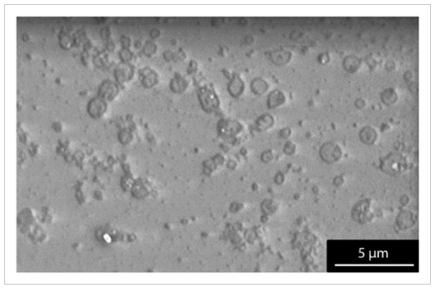 瑞典皇家理工学院《Small》：通过商业碳纤维制备2D氧化石墨烯纳米片