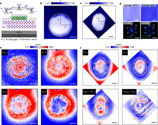 Nature | 北京大学孙庆丰团队/北京师范大学何林团队共同揭示石墨烯基人工原子中的轨道杂化