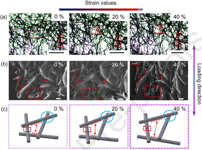 北京科技大学牛康民《Chem. Eng. J.》|高灵敏度和大应变石墨烯非织造布复合材料，用于多功能应用