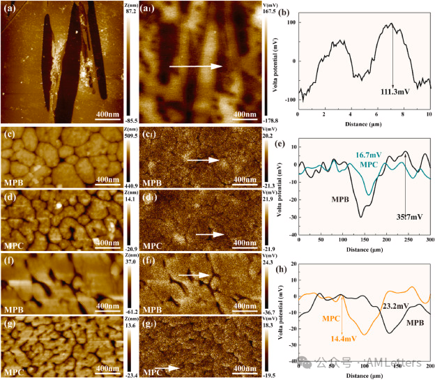 上交-港城大联合顶刊《Composites Part B》：石墨烯纳米片增强铝基复材腐蚀行为和强度-延展性协同机制研究！