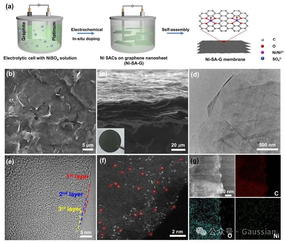 邱介山、杨卷Angew丨将镍单原子构筑到石墨烯膜中促进Li⁺溶剂脱溶以实现快速硫氧化还原反应动力学！