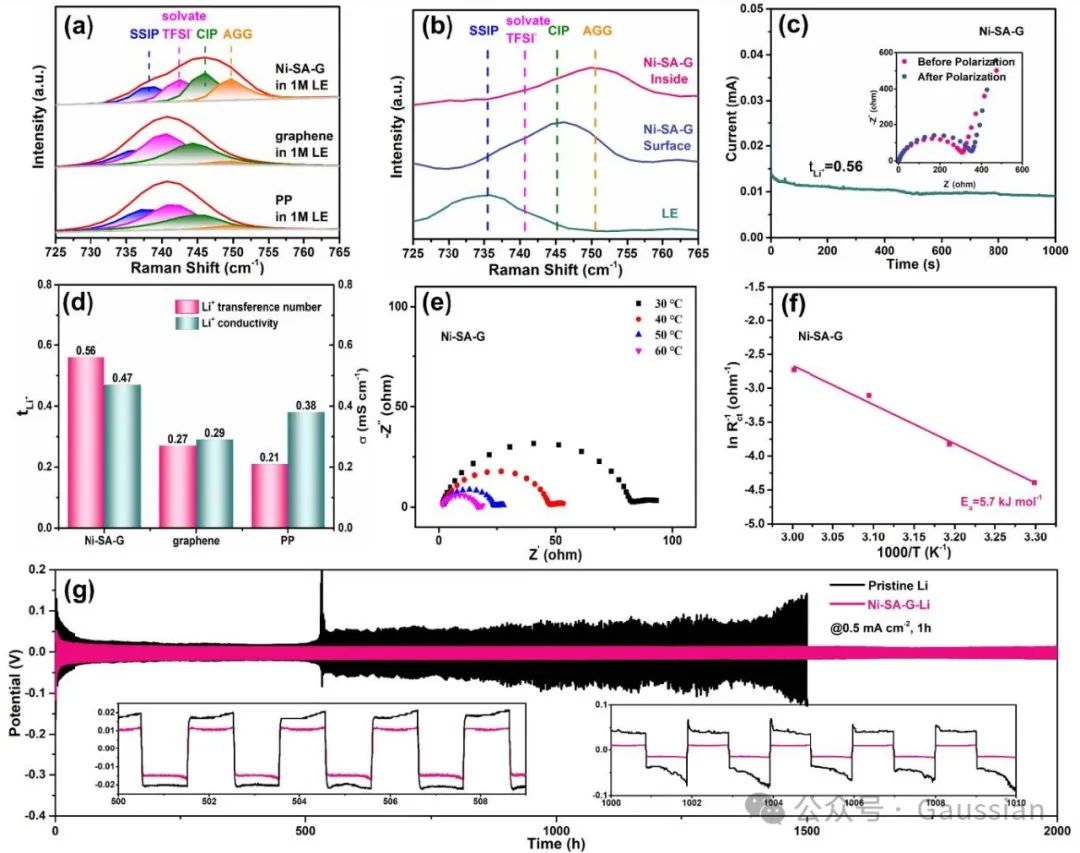 邱介山、杨卷Angew丨将镍单原子构筑到石墨烯膜中促进Li⁺溶剂脱溶以实现快速硫氧化还原反应动力学！