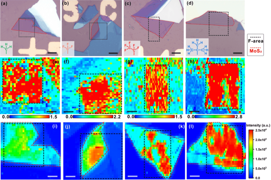 Angew. Chem.：通过垂直表面功能化实现可控的石墨烯/二硫化钼异质界面