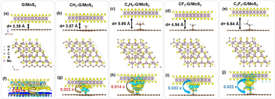 Angew. Chem.：通过垂直表面功能化实现可控的石墨烯/二硫化钼异质界面