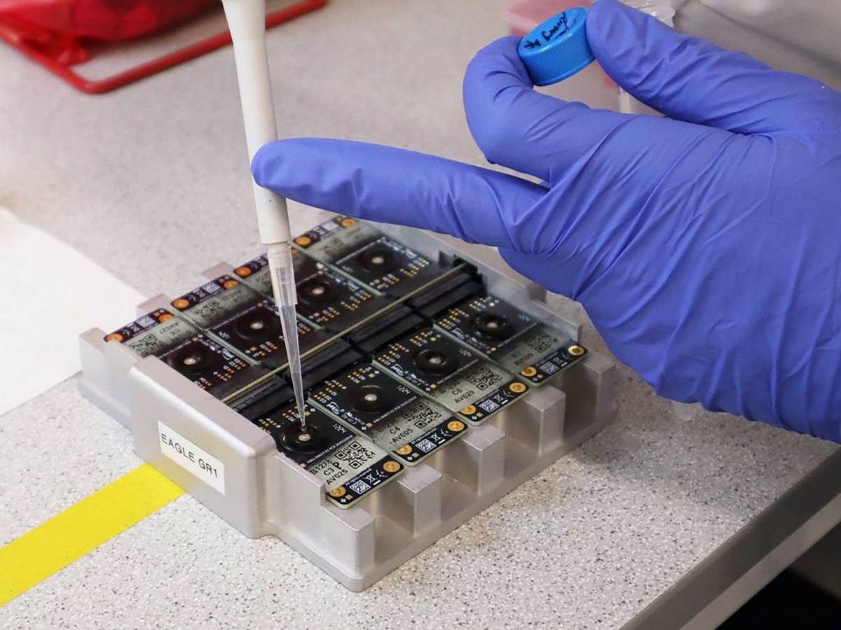 一只戴着手套的手在实验室里研究一排 Paragraf 的石墨烯场效应晶体管。