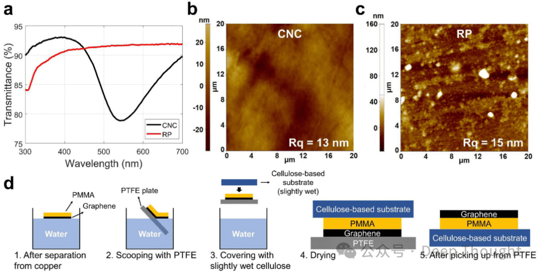石墨烯与纤维素：开启柔性OLED的环保时代