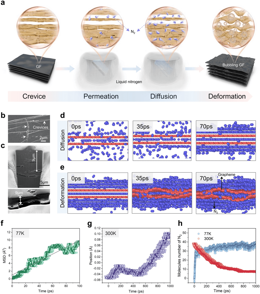 浙江大学高超等：面向极端热管理领域的具有无缝异质界面的结构稳定高导热石墨质膜