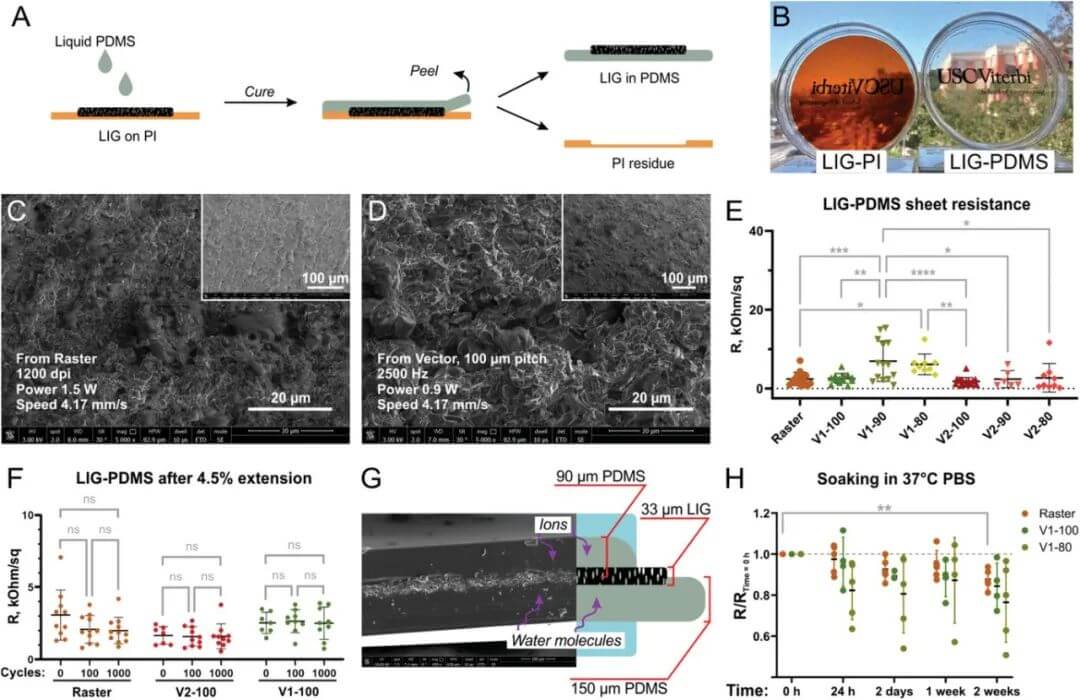 AFM：激光诱导石墨烯应变计和刺激电极在肌肉芯片设备中的台式制造与集成