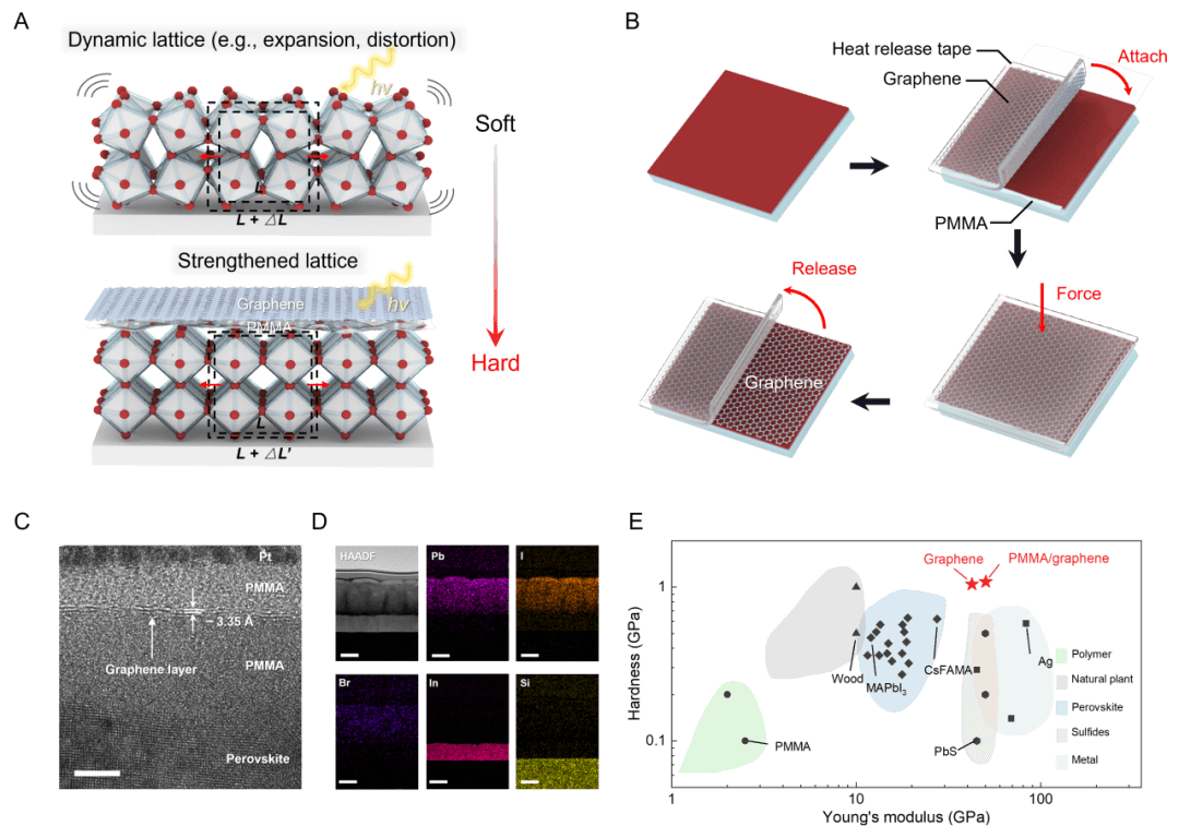 重大突破！华理在Science发表光伏领域最新研究成果