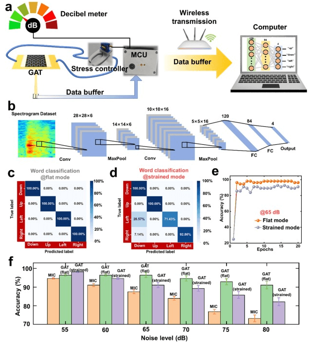清华大学《CEJ》：受蜘蛛织网启发的石墨烯人工喉，用于人机交互和机器人听觉等