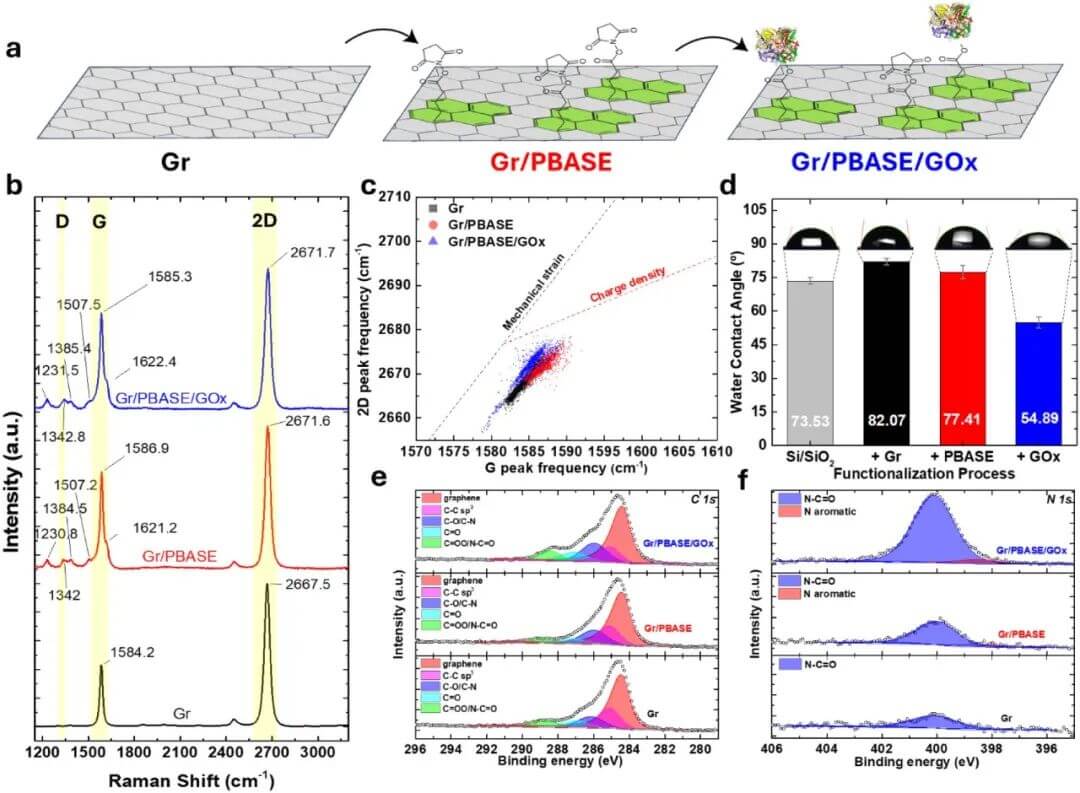 JACS：具有阿托摩尔级检测限的石墨烯基葡萄糖传感器