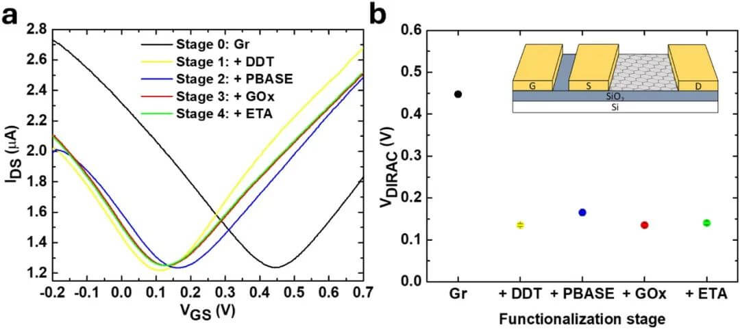 JACS：具有阿托摩尔级检测限的石墨烯基葡萄糖传感器