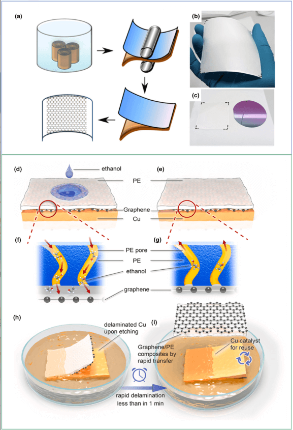 大连理工大学《EEM》：综述！无缺陷和无污染的石墨烯薄膜的高效转移研究进展